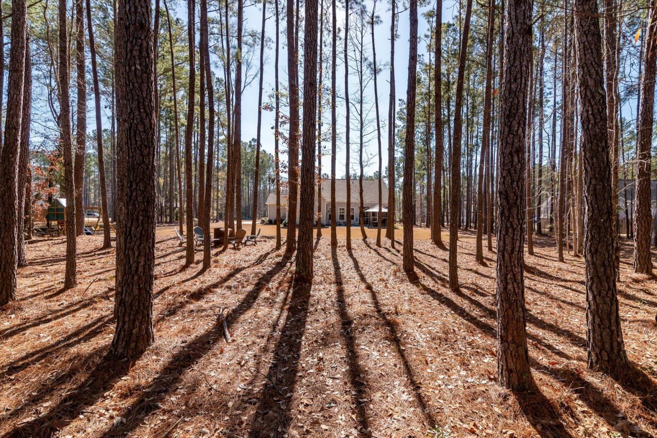 1119 Etowah Drive Photo 47