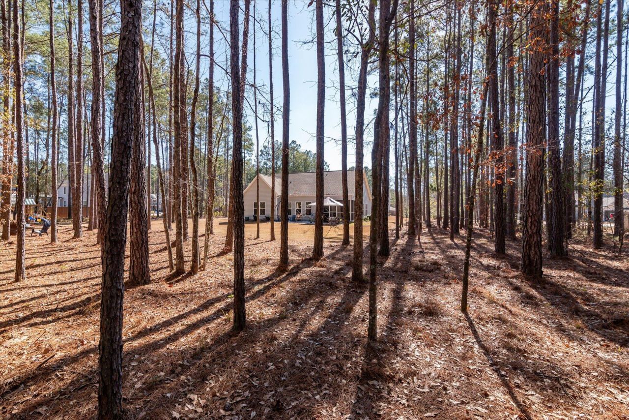 1119 Etowah Drive Photo 48