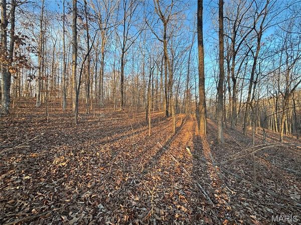 001 State Highway D, Greenville, MO 63944