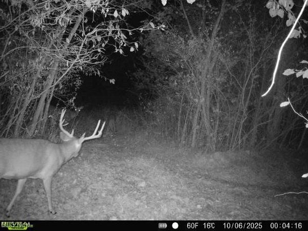 County Road 99, Warsaw, OH 43844