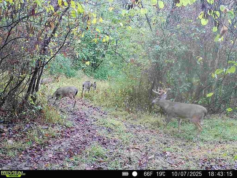 County Road 99, Warsaw, OH 43844 Photo 3