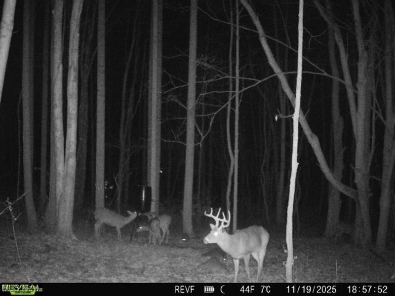 County Road 99, Warsaw, OH 43844 Photo 4