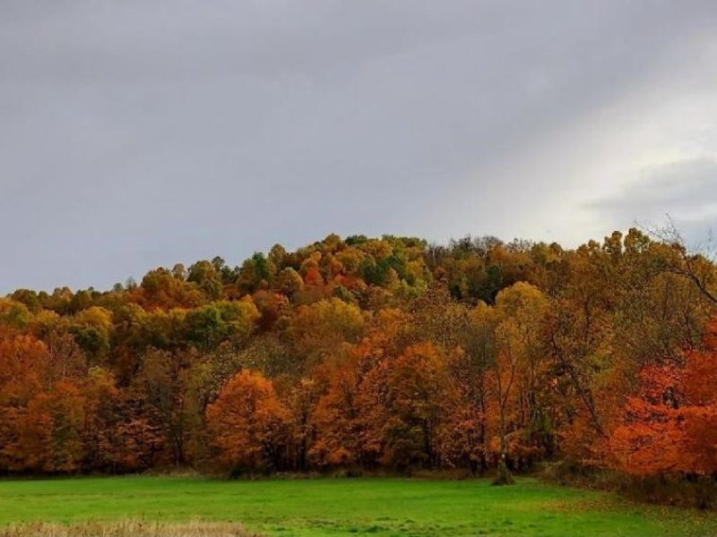 County Road 99, Warsaw, OH 43844 Photo 5