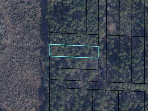 000 T J Mitchell Road , Bonifay, FL 32425