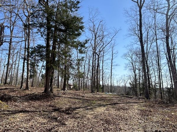 97 Cardinal Hollow Rd, Linden, TN 37096