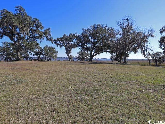 302 Chaff Ct. Photo 20