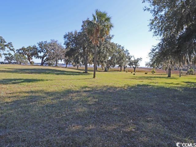 302 Chaff Ct. Photo 21