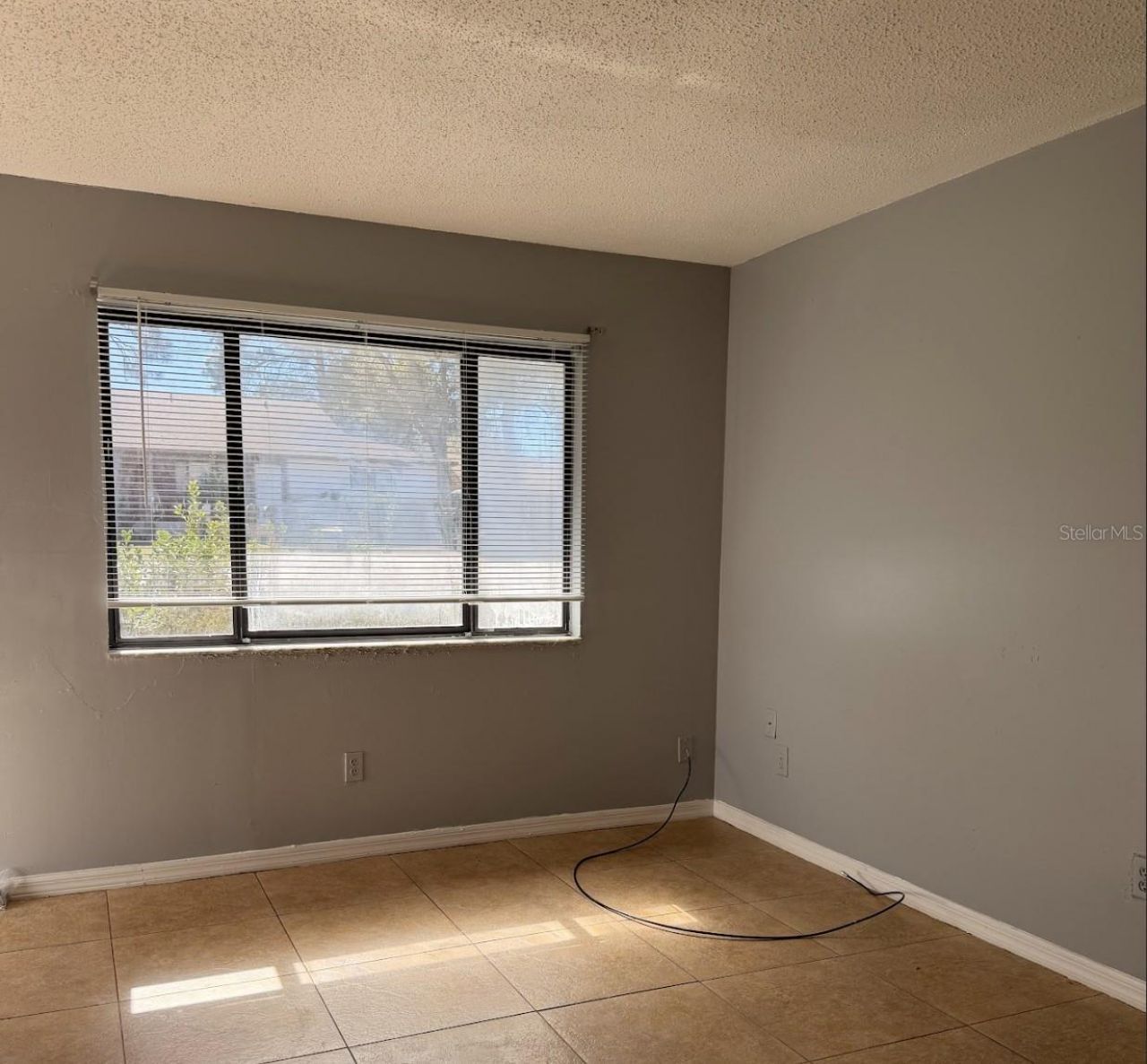 3721 NE 41st Street, Ocala, FL 34479 Photo