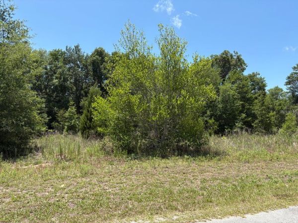 6642 N FLOWER TERRACE, HERNANDO, FL 34442