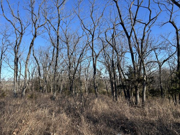 000 E Dade 22 Road, Arcola, MO 65603