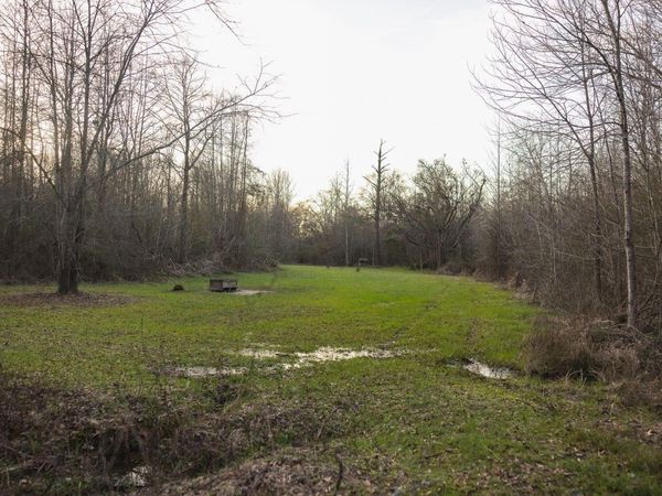 Sandyland Rd, Brooksville, MS 39341