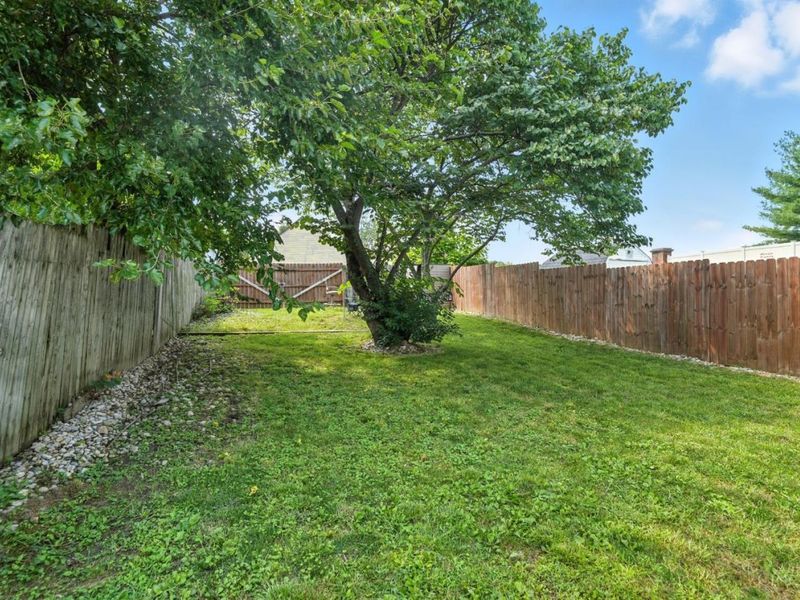 839 Willow Avenue, Hamilton, OH 45013 Photo 24