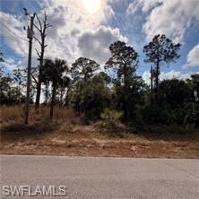 1242 Creary St E, Lehigh Acres, FL 33974 Photo