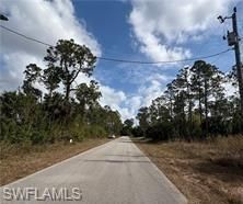 1242 Creary St E, Lehigh Acres, FL 33974 Photo