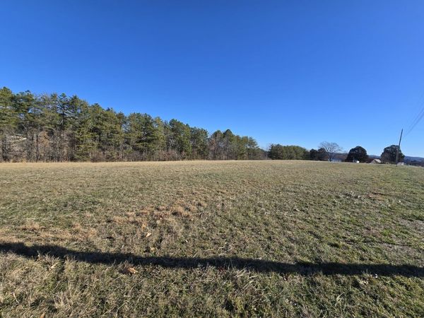 Lot 4 Peninsula Pointe Dr, Rutledge, TN 37861