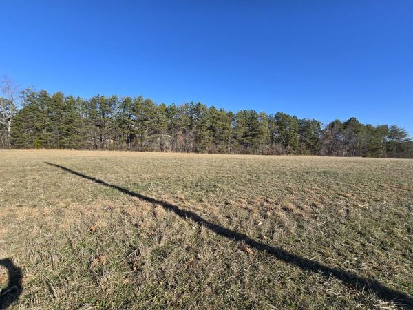 Lot 5 Peninsula Pointe Drive, Rutledge, TN 37861