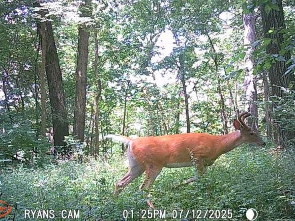 14094 Three Mile Road Lot A, THOMSON, IL 61285