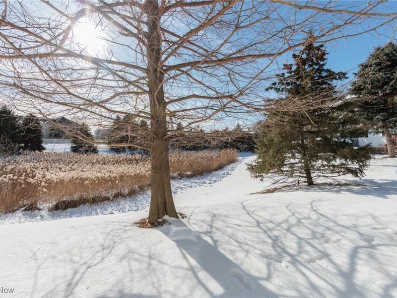 6 Preserve Drive, Willoughby, OH 44094 Photo 45