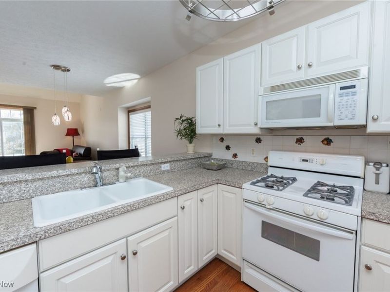 6 Preserve Drive, Willoughby, OH 44094 Photo 6