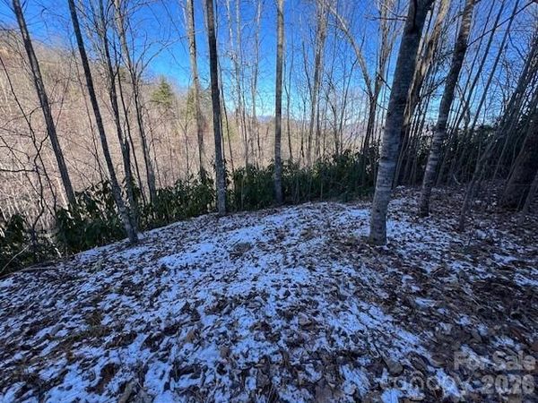 621 Round Top Road , Almond, NC 28702