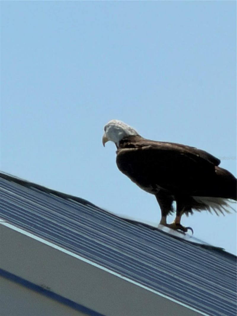 1905 Mississippi Avenue, Englewood, FL 34224 Photo