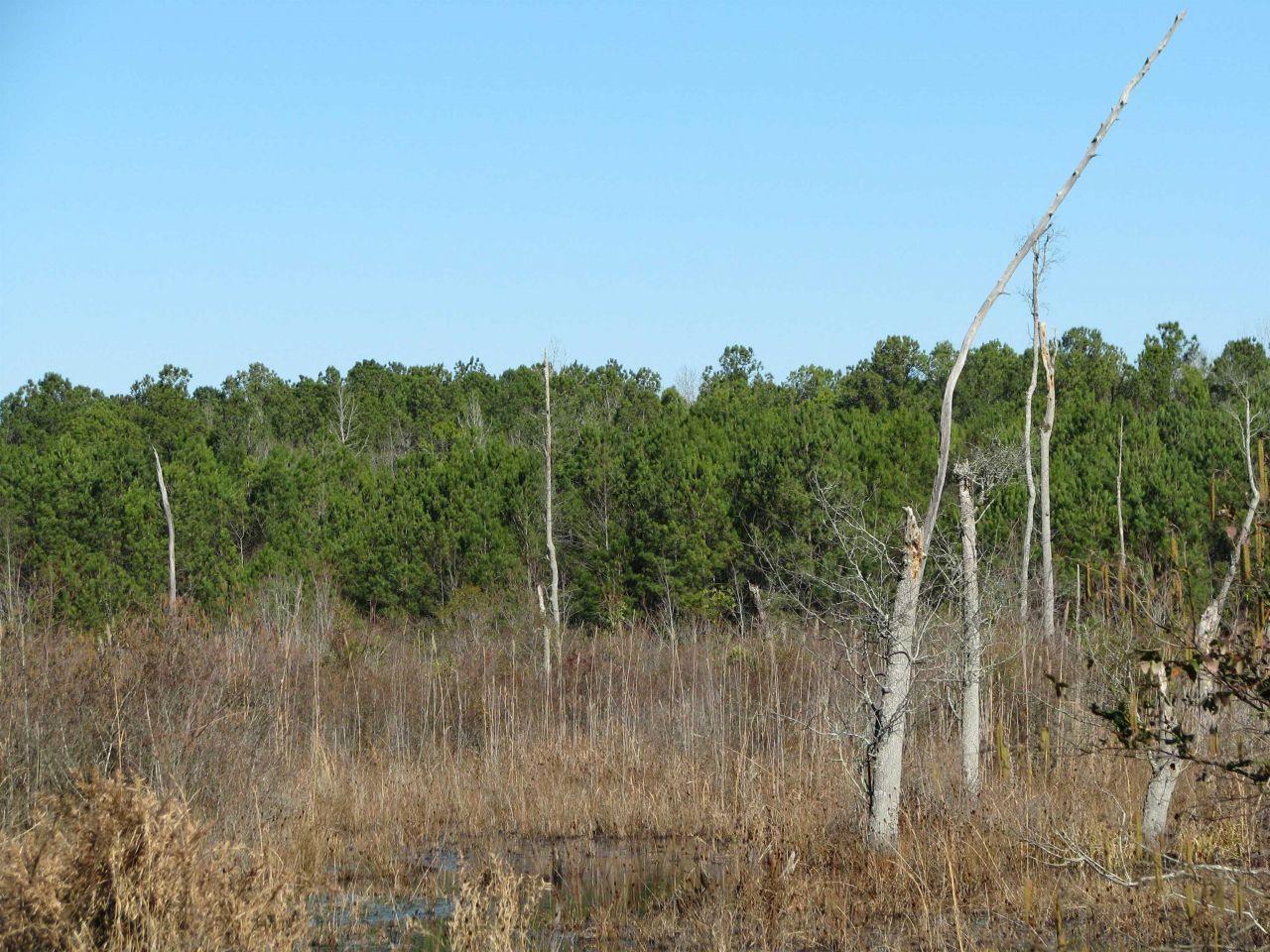 0 Cannery Rd Photo 15