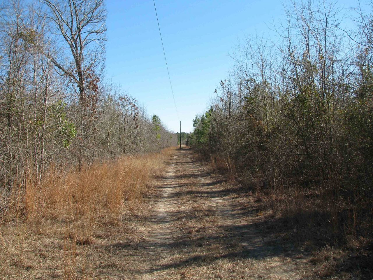 0 Cannery Rd Photo 17