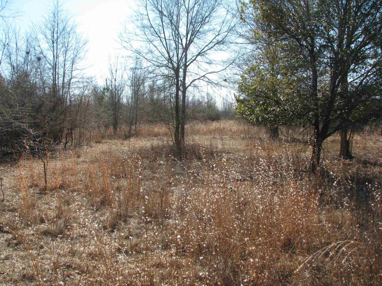 0 Cannery Rd Photo 24