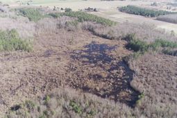 0 Cannery Rd photo 4