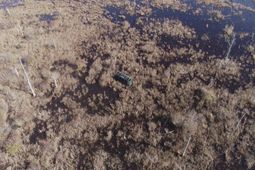 0 Cannery Rd photo 4