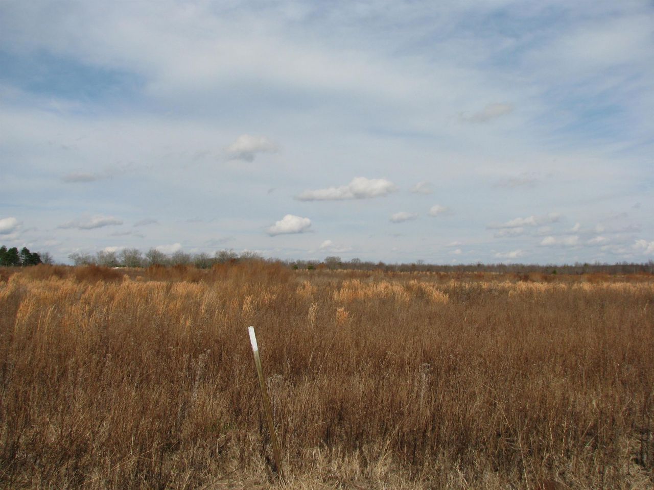 0 Cannery Rd Photo 8