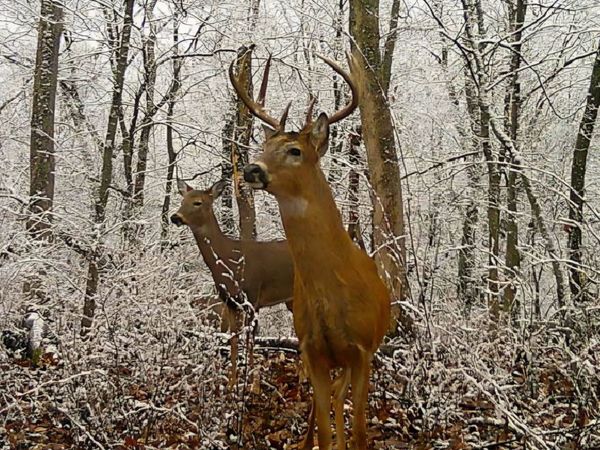 14094 Three Mile Road lot B, THOMSON, IL 61285