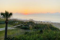 1508 Palmetto Boulevard photo 4