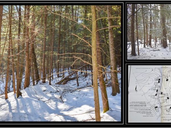 22 Carriage Knolls Road, Chestertown, NY 12817