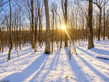 TBD Ash Court, Terra Alta, WV 26764