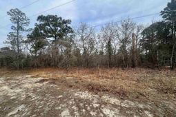 1986 Elgin Drive  photo 4