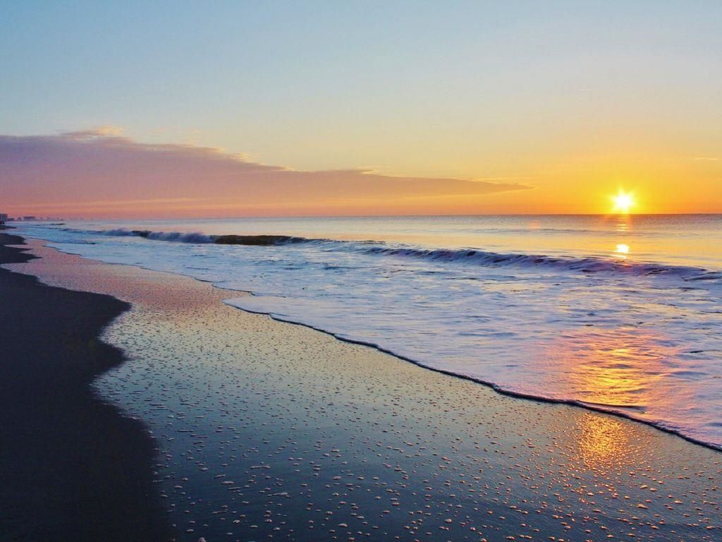 201 74th Ave. N Photo 8