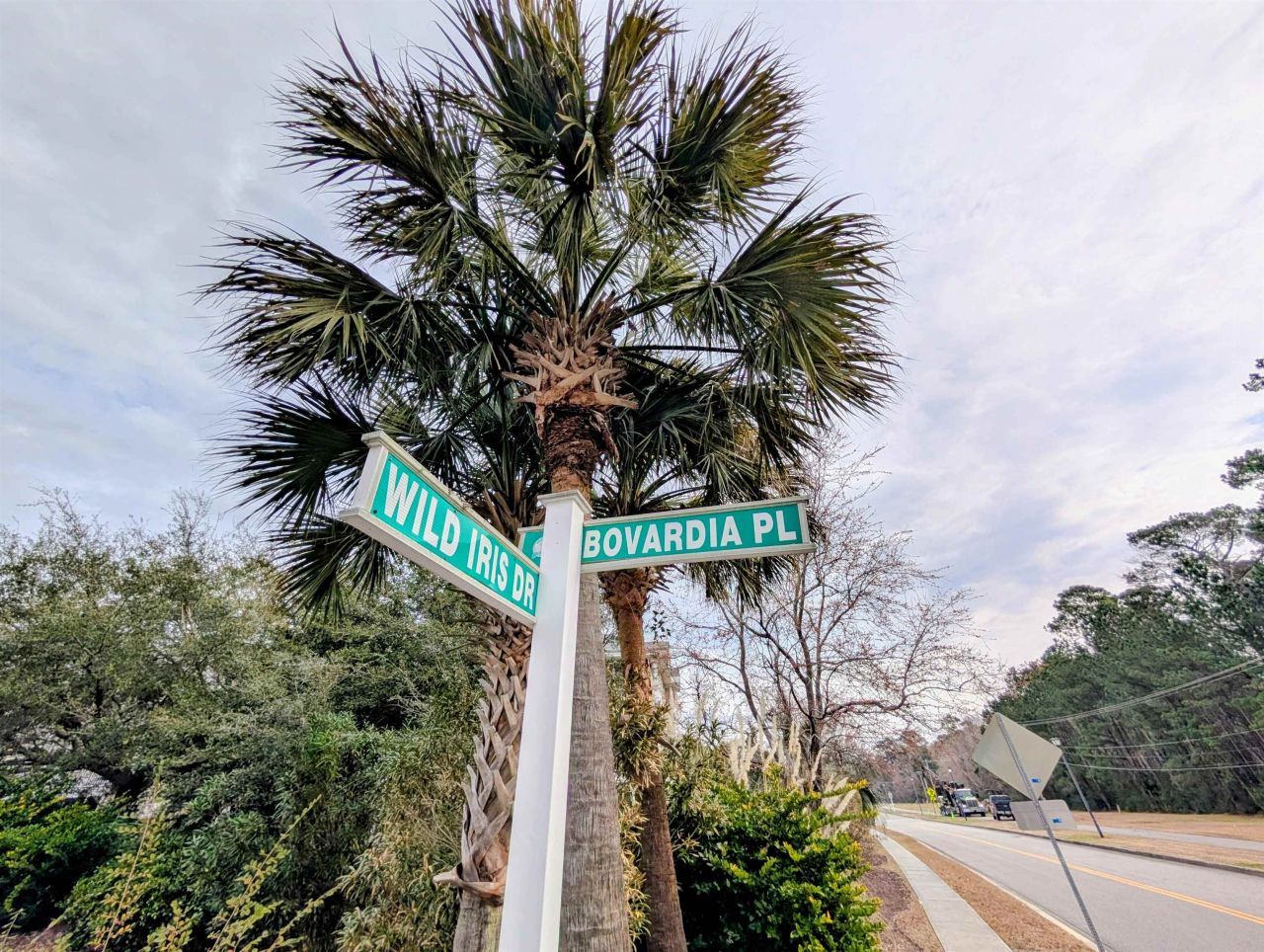 4803 Bovardia Pl. Photo 23