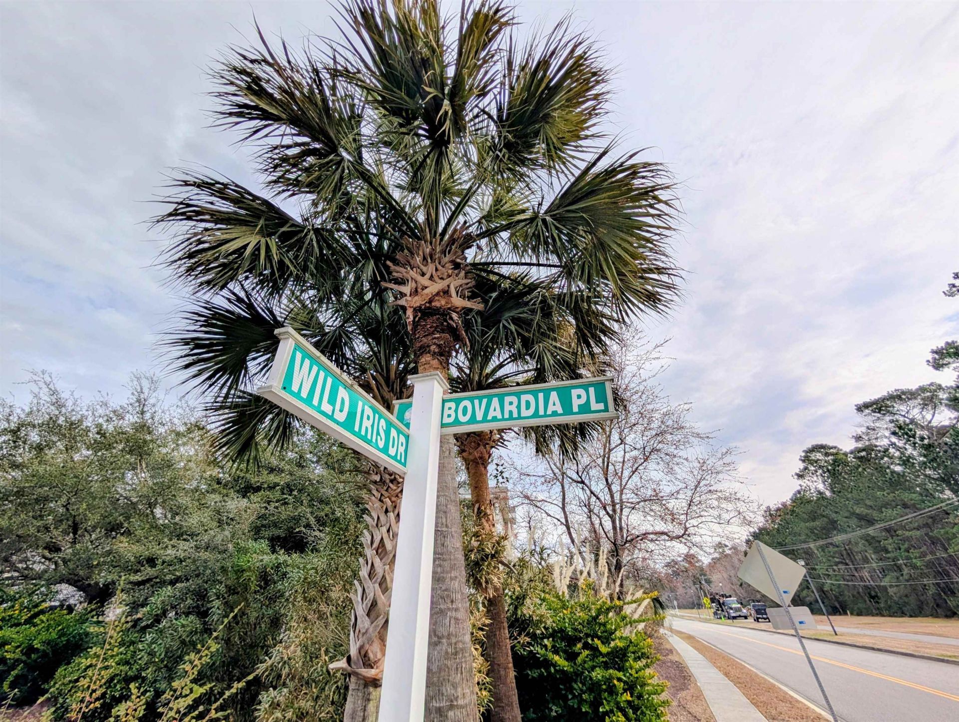 4803 Bovardia Pl. Photo 33