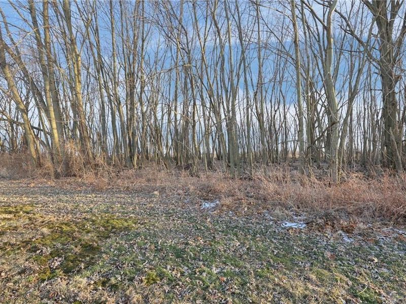 301 Seville Drive, Urbana, OH 43078 Photo 33