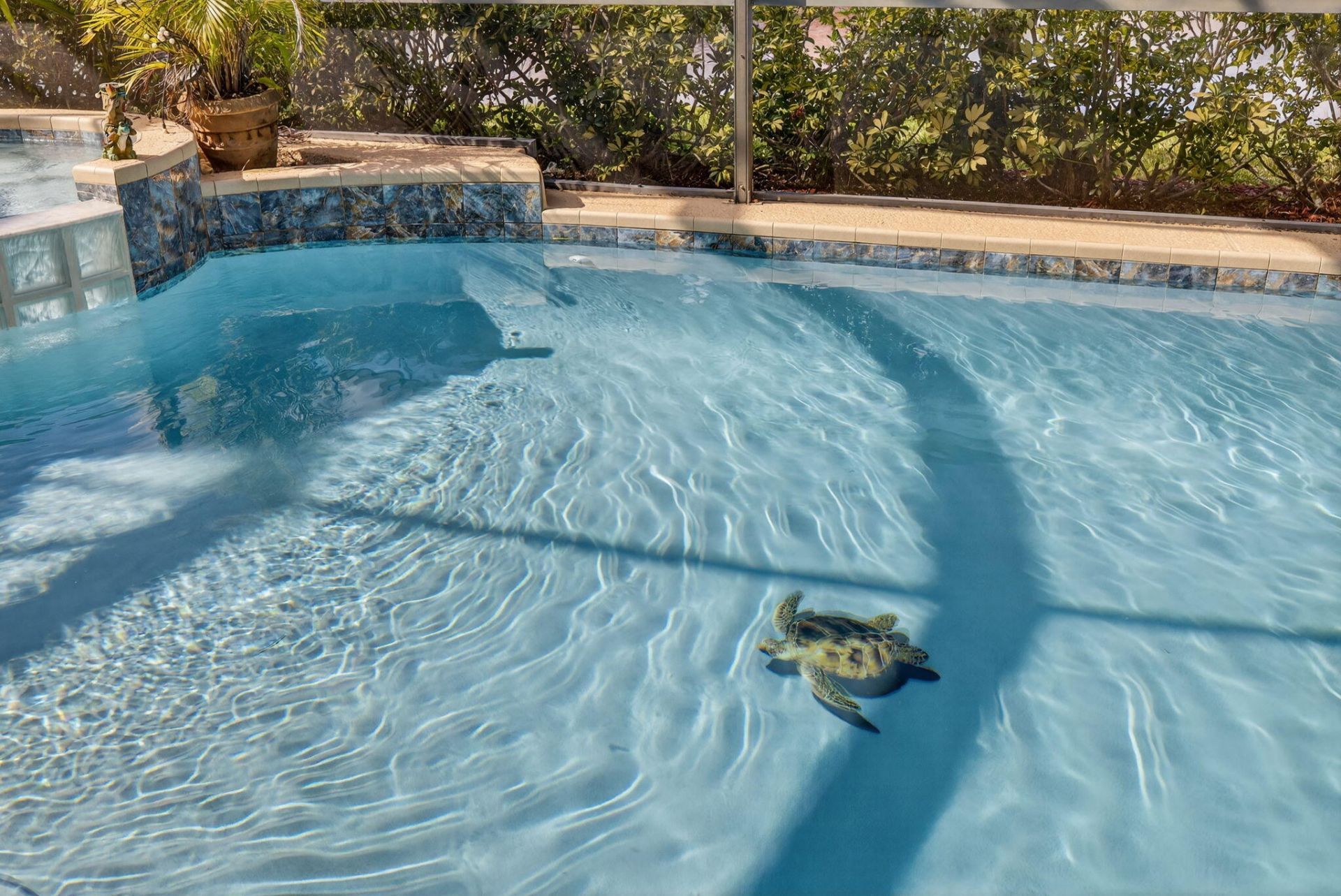 868 SW Piedmont Court, Port Saint Lucie, FL 34986 Photo