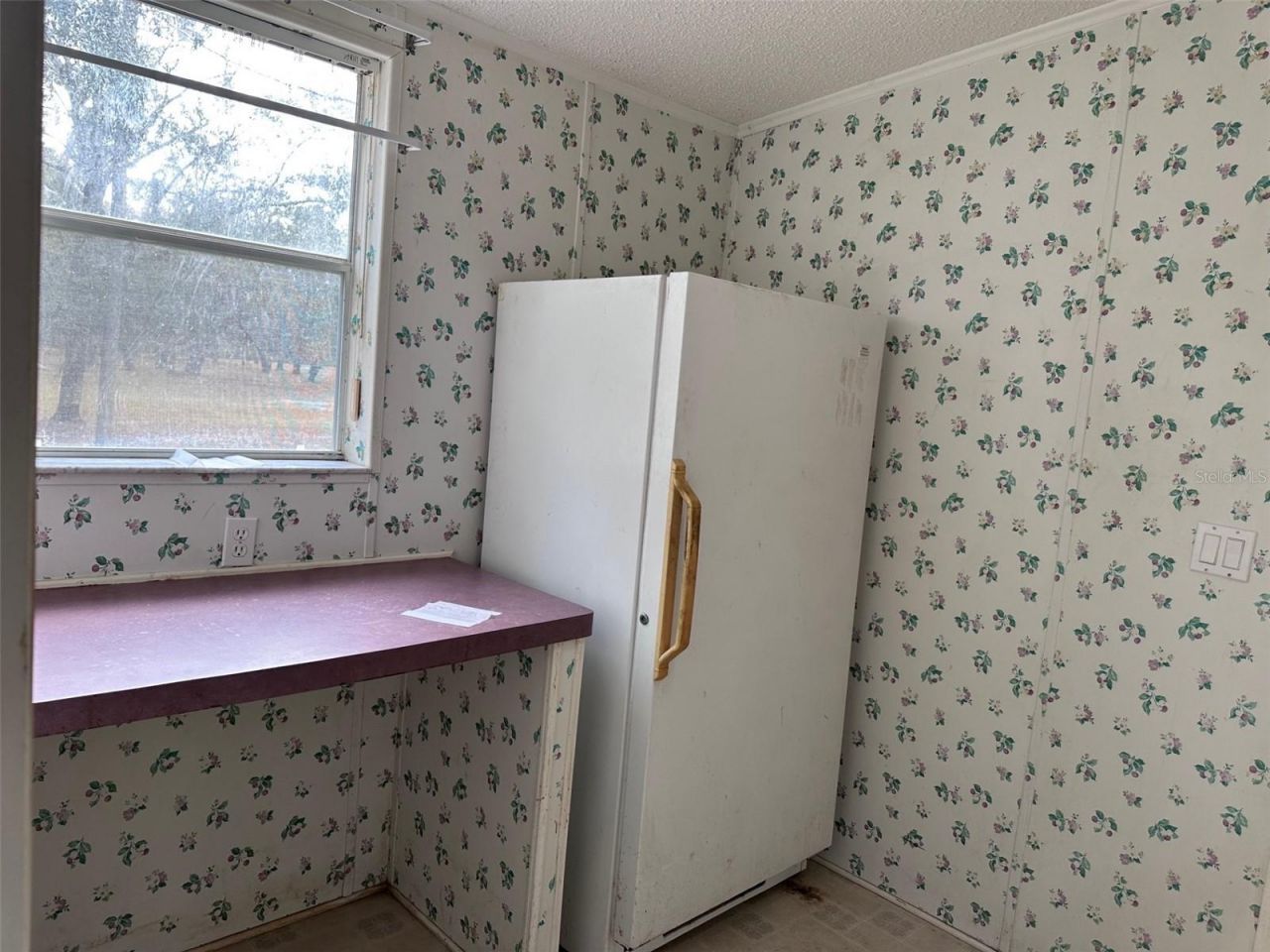 12468 SE Hwy 349, Old Town, FL 32680 Photo