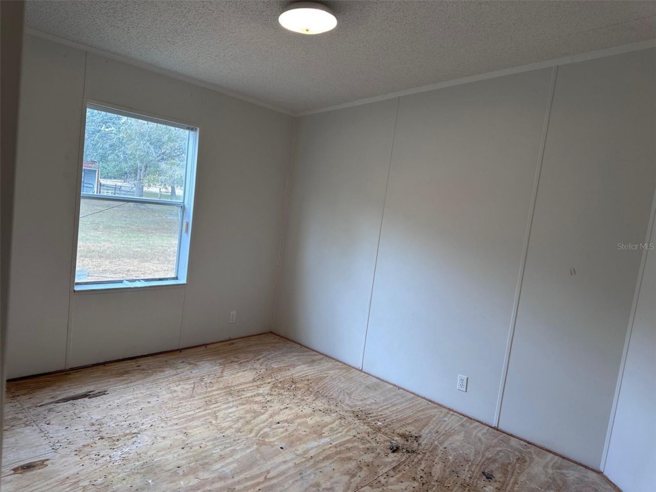 12468 SE Hwy 349, Old Town, FL 32680 Photo