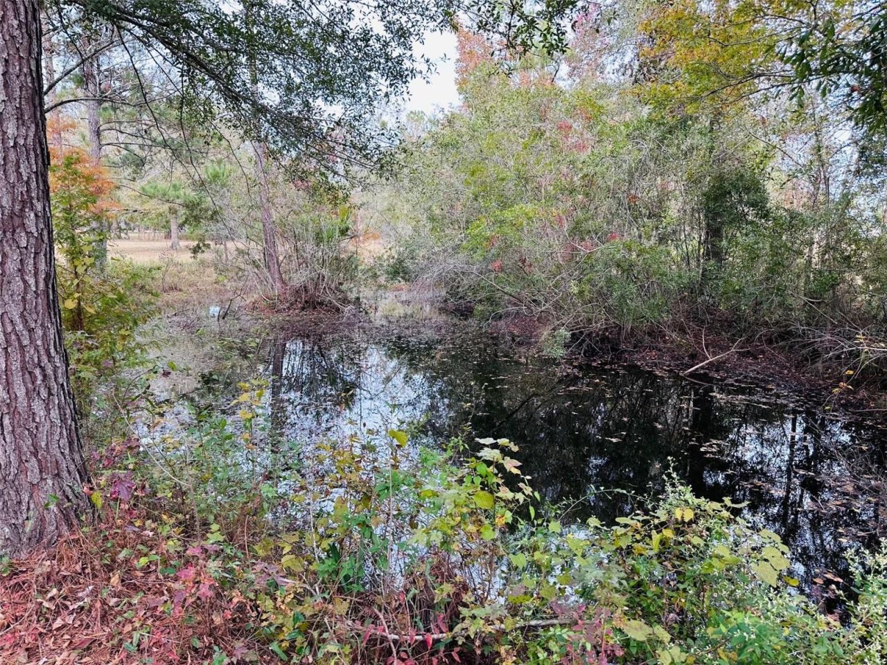 12468 SE Hwy 349, Old Town, FL 32680 Photo