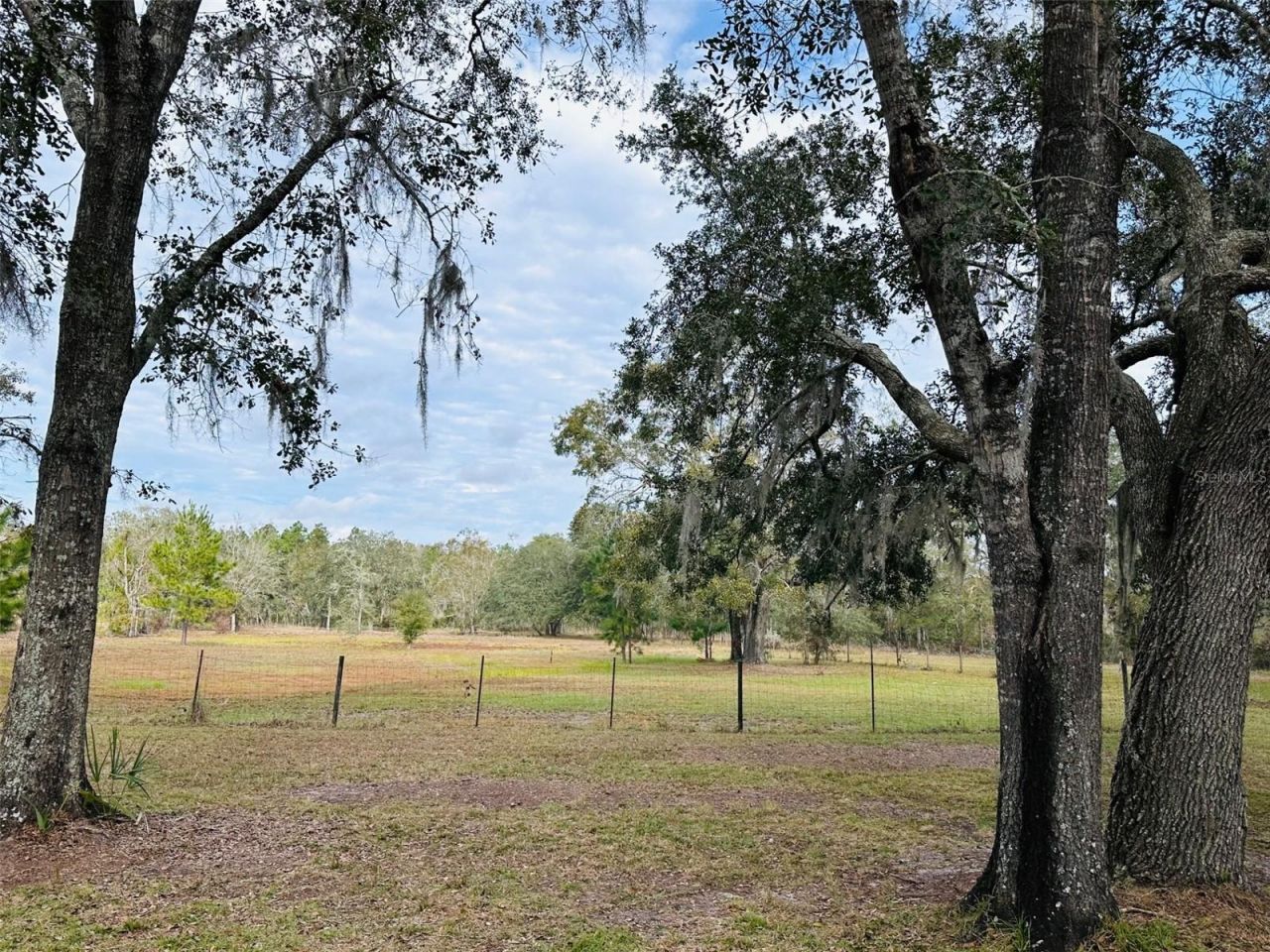 12468 SE Hwy 349, Old Town, FL 32680 Photo