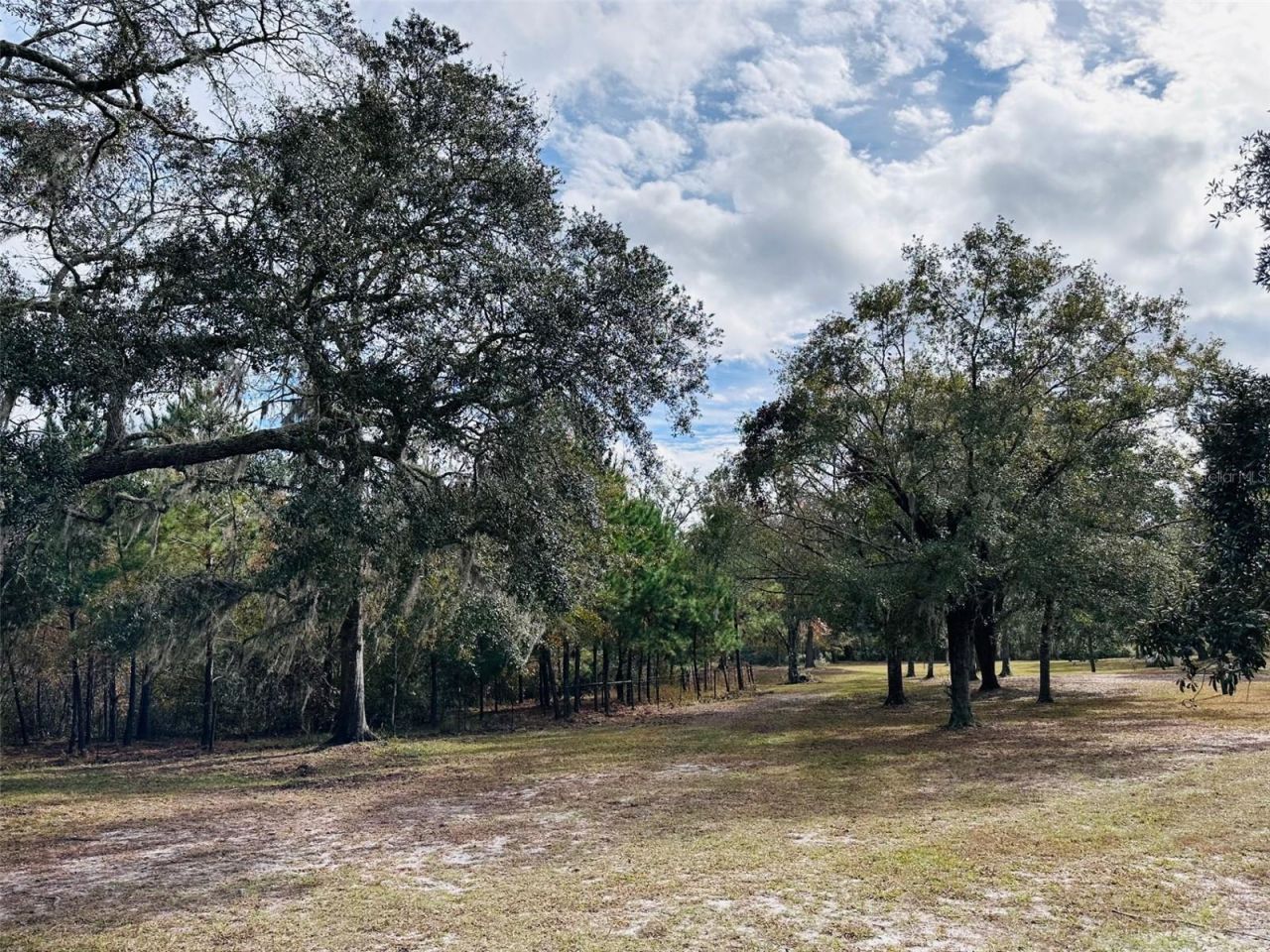 12468 SE Hwy 349, Old Town, FL 32680 Photo