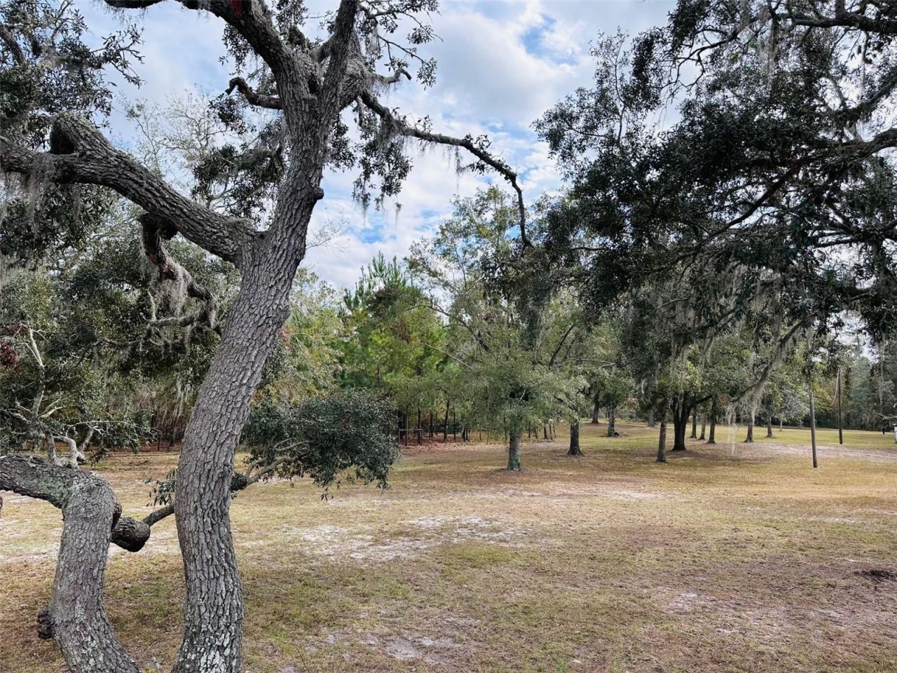 12468 SE Hwy 349, Old Town, FL 32680 Photo