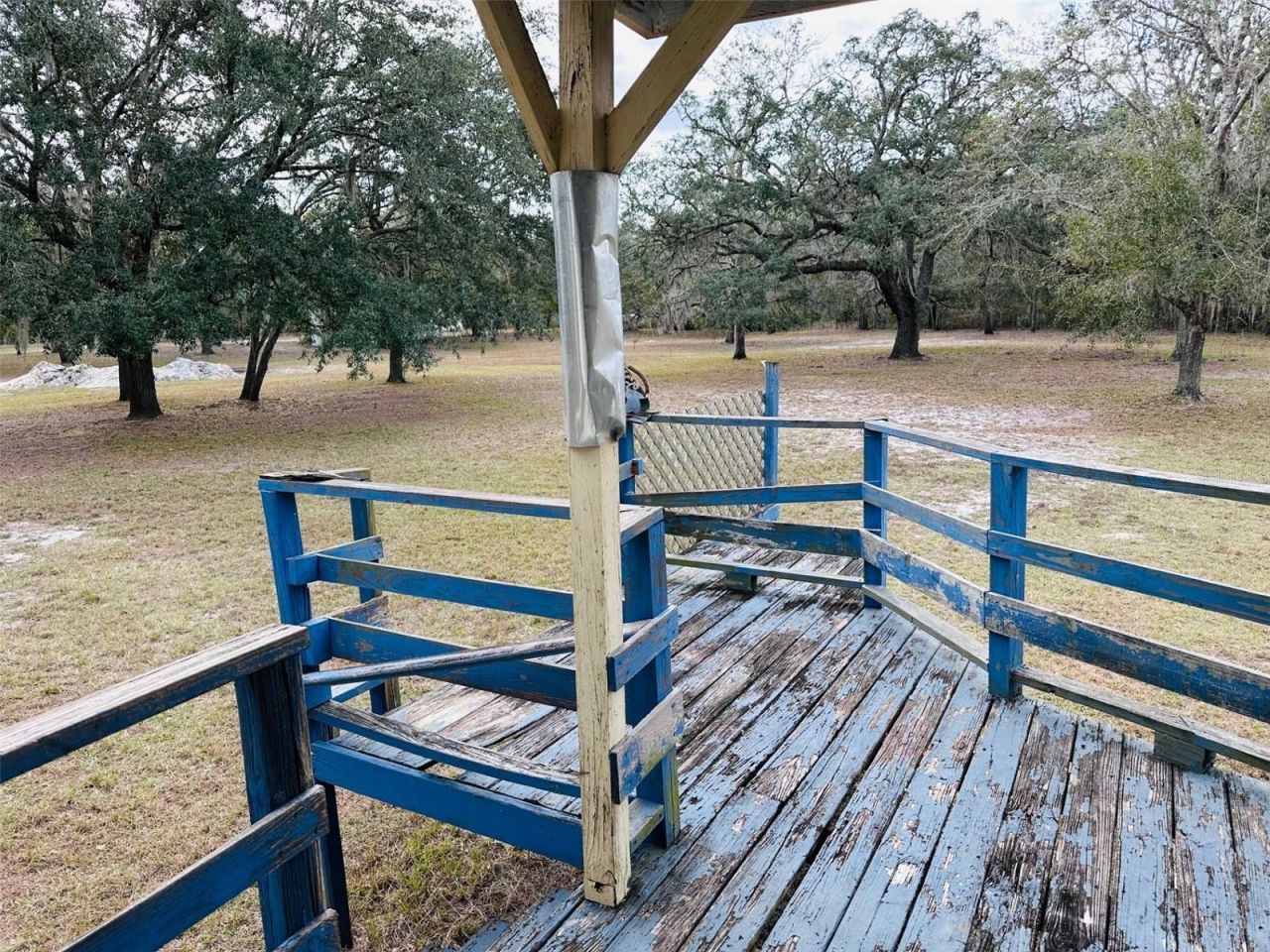 12468 SE Hwy 349, Old Town, FL 32680 Photo