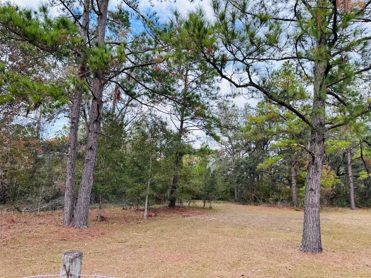 12468 SE Hwy 349, Old Town, FL 32680 Photo