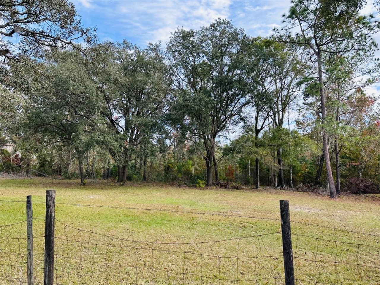 12468 SE Hwy 349, Old Town, FL 32680 Photo